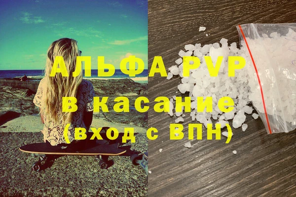 индика Пестово