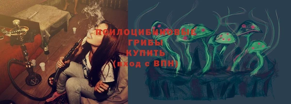 индика Пестово