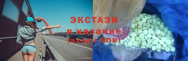 индика Пестово