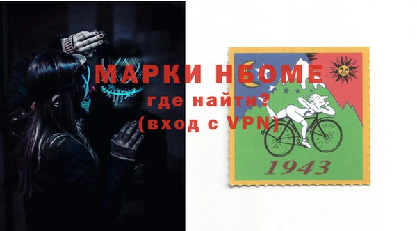 индика Пестово