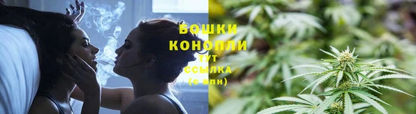 PSILOCYBIN Осташков