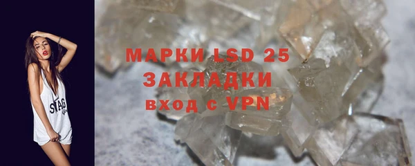 PSILOCYBIN Осташков