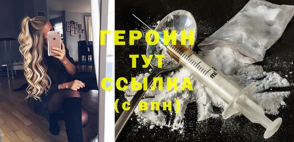 индика Пестово