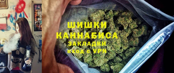 индика Пестово