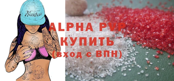 индика Пестово