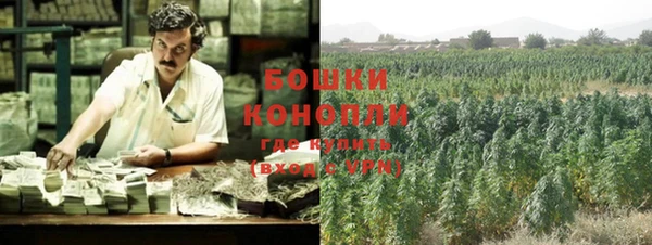 соль ск Осинники