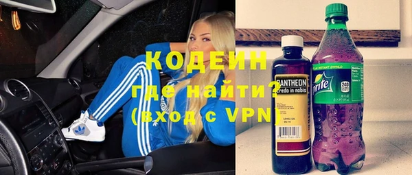 индика Пестово