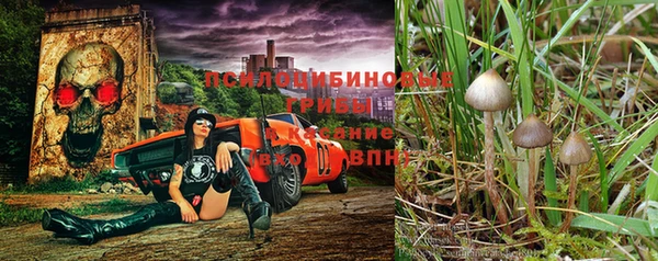 индика Пестово