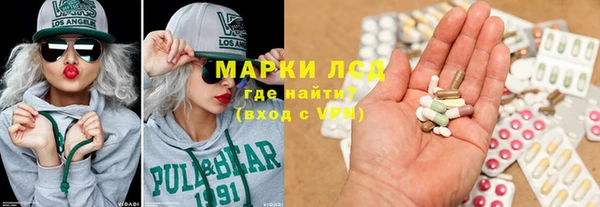 индика Пестово